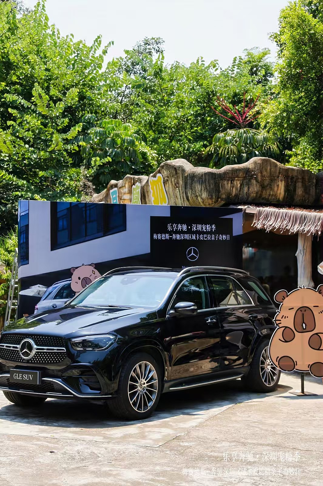 WAKAKA哇卡卡|奔驰卡皮巴拉活动|WAKAKA表情包