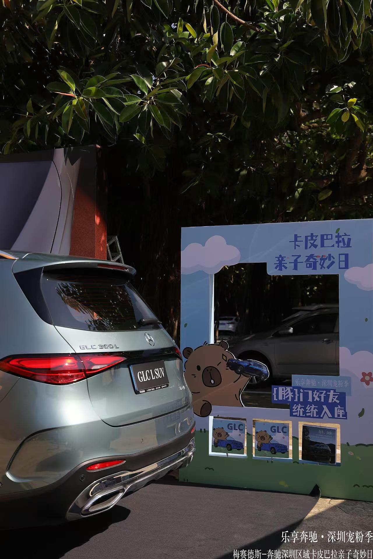 WAKAKA哇卡卡|奔驰卡皮巴拉活动|WAKAKA表情包