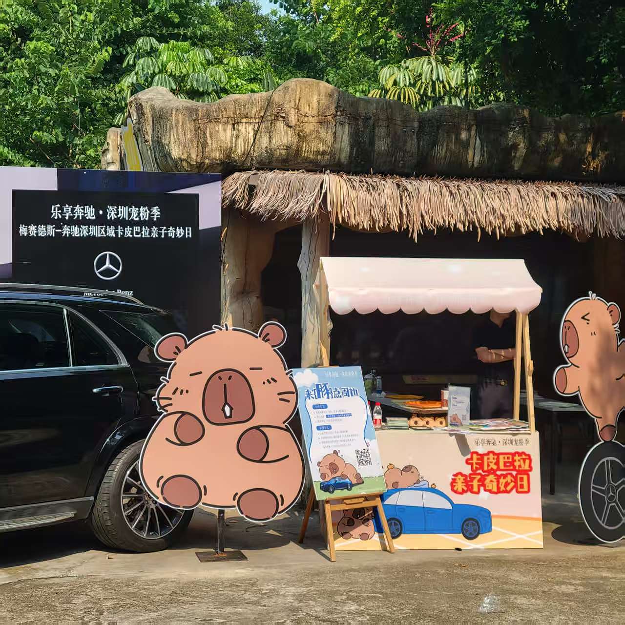 WAKAKA哇卡卡|奔驰卡皮巴拉活动|WAKAKA表情包