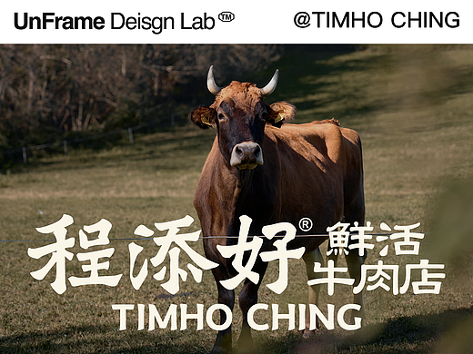 TimHo Ching| UnFrame 解構重組™