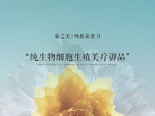 公司的全方位品牌介绍ppt