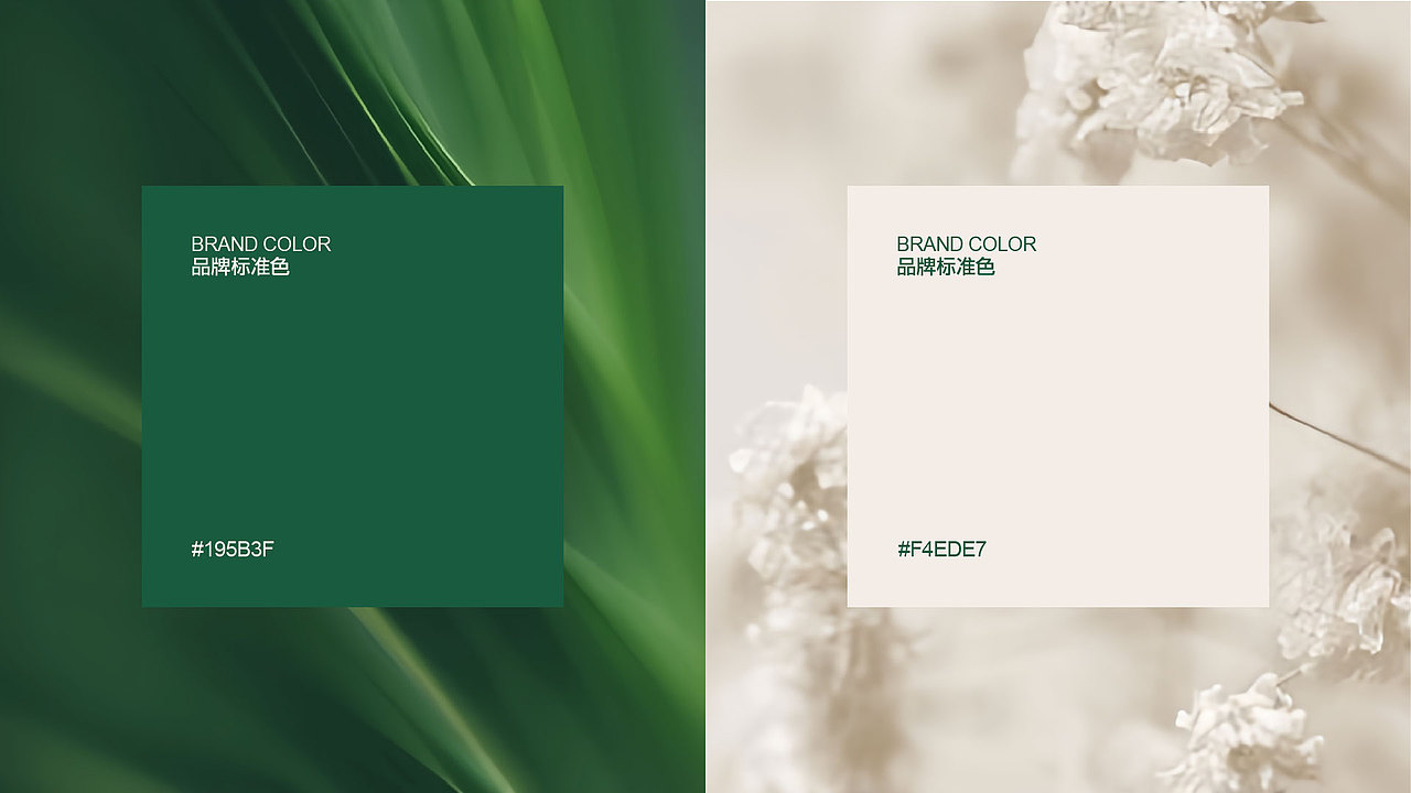 梵·悠 | 瑜伽品牌设计