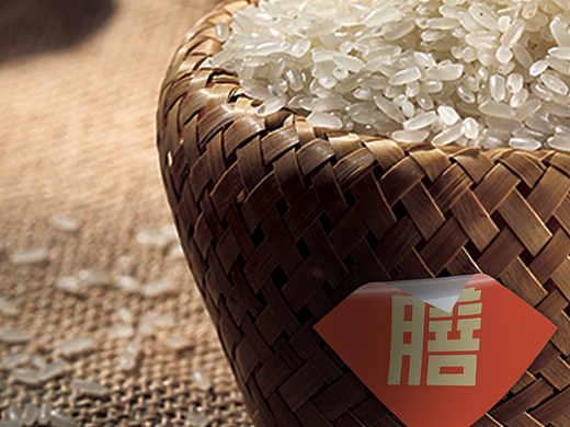 福州博膳（餐饮）品牌LOGO/VI设计