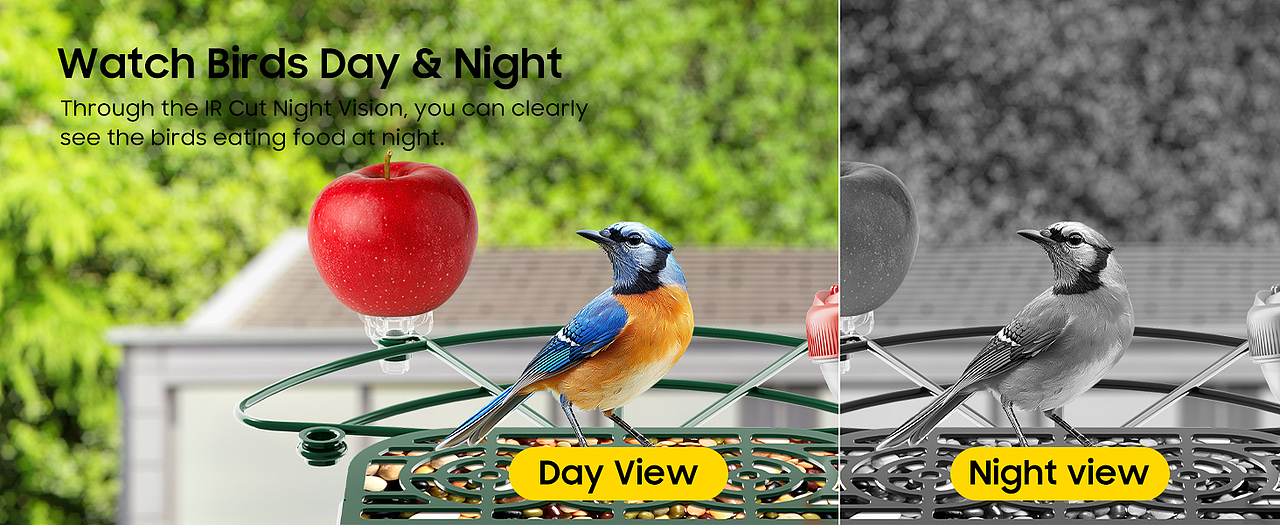 水盆款金属喂鸟器亚马逊主图 A+页面（图ZMzk1MTI1Mzg0） - 玩具 - 站酷设计师SeanVoyager原创素材 - 站酷ZCOOL