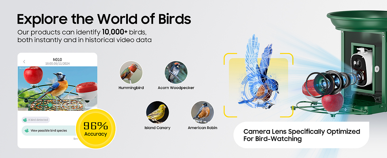 水盆款金属喂鸟器亚马逊主图 A+页面（图ZMzk1MTI1NDI4） - 玩具 - 站酷设计师SeanVoyager原创素材 - 站酷ZCOOL