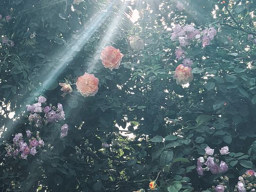 攝影（個人主頁-ZNzI0MDExNjA=） - 風(fēng)光攝影 - 站酷設(shè)計師Z577517360原創(chuàng)素材 - 站酷ZCOOL