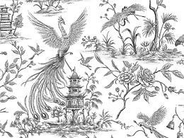 摄影+插画