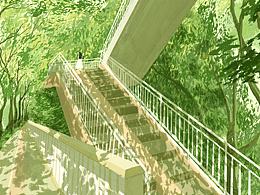 青苹果味的夏天
