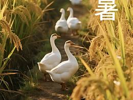 处暑海报||从明天起做一个幸福的人