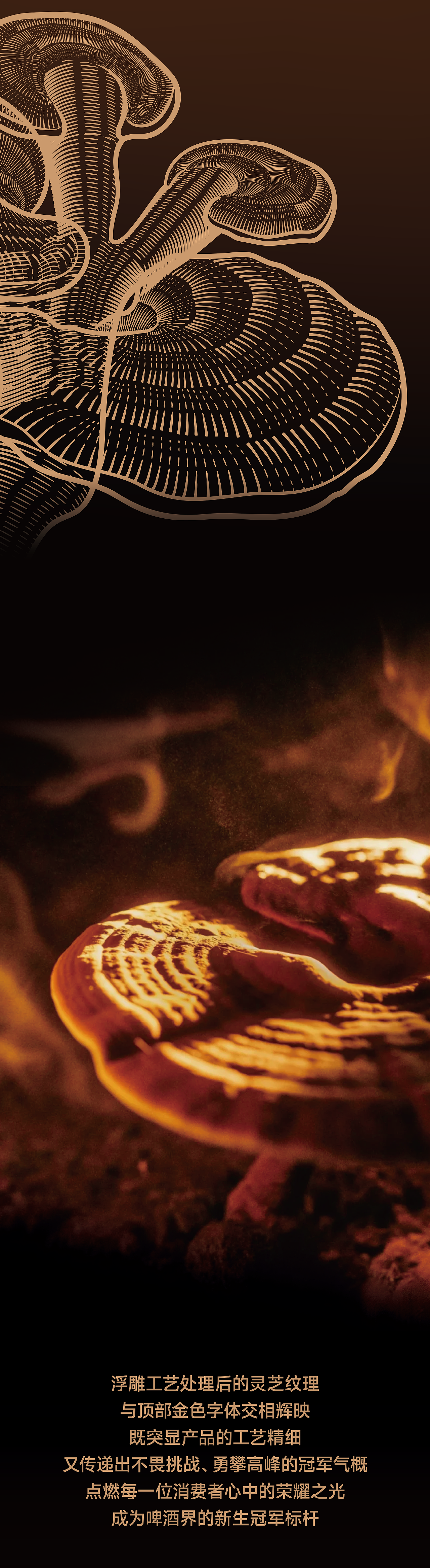 冠军啤酒 x OCD甲古文設計|加冕时刻 冠军荣耀