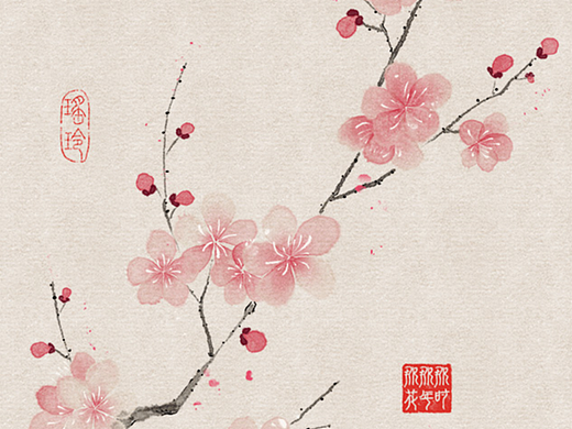 12 个月的守护花，藏着四季浪漫💐