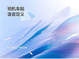 车险设计语言定义