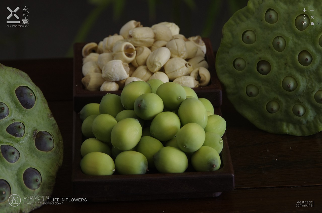 莲子落（图ZMzk1MjAzNzQw） - 其他摄影 - 站酷设计师玄壹行于山原创素材 - 站酷ZCOOL