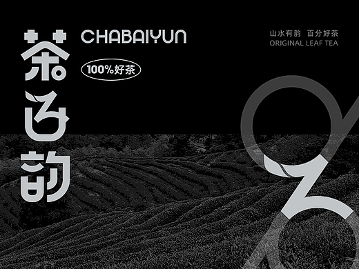 茶叶品牌logo升级方案，包装设计