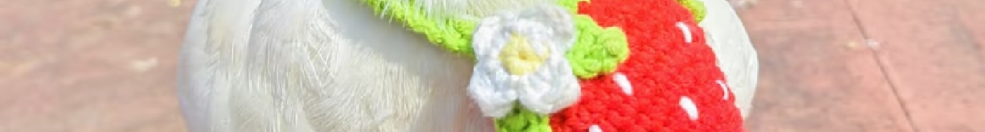 热热涡雪的个人主页（封面预览） - 主页封面设置 - 站酷设计师热热涡雪原创素材 - 站酷ZCOOL