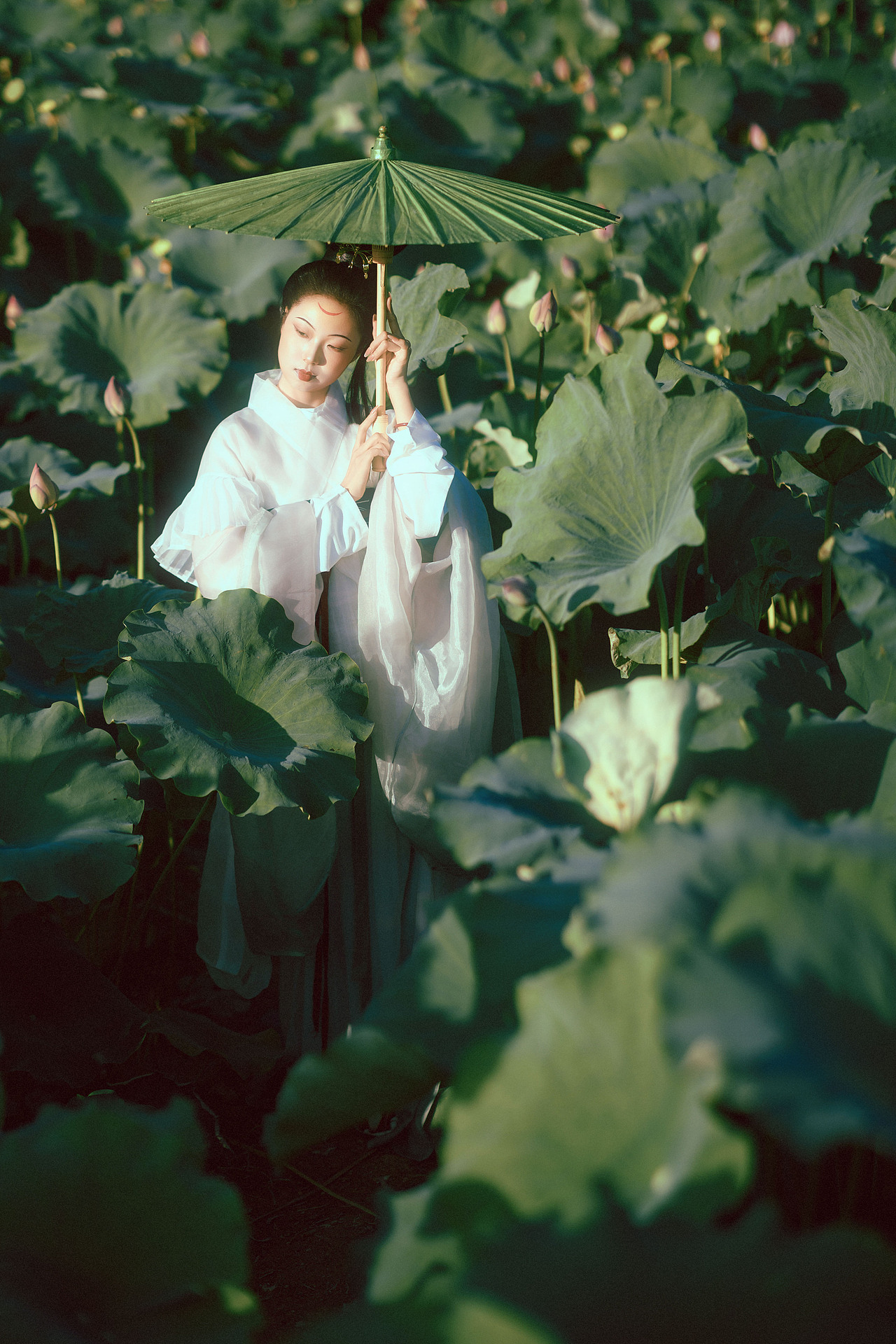 晚荷（图ZMzk1MjMyNTcy） - 人像摄影 - 站酷设计师若寒Rock原创素材 - 站酷ZCOOL