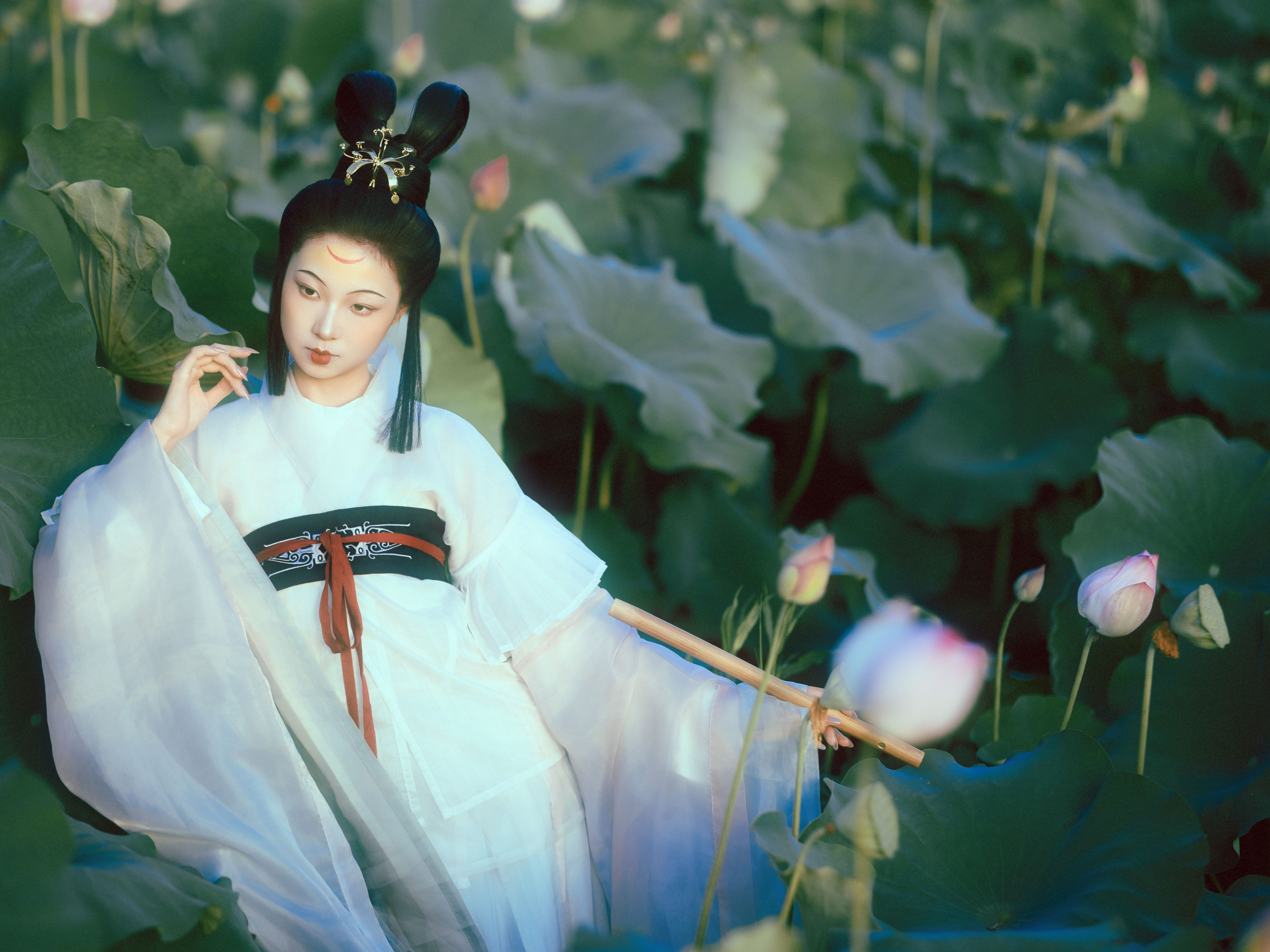 晚荷