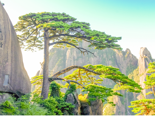 安徽《黄山》