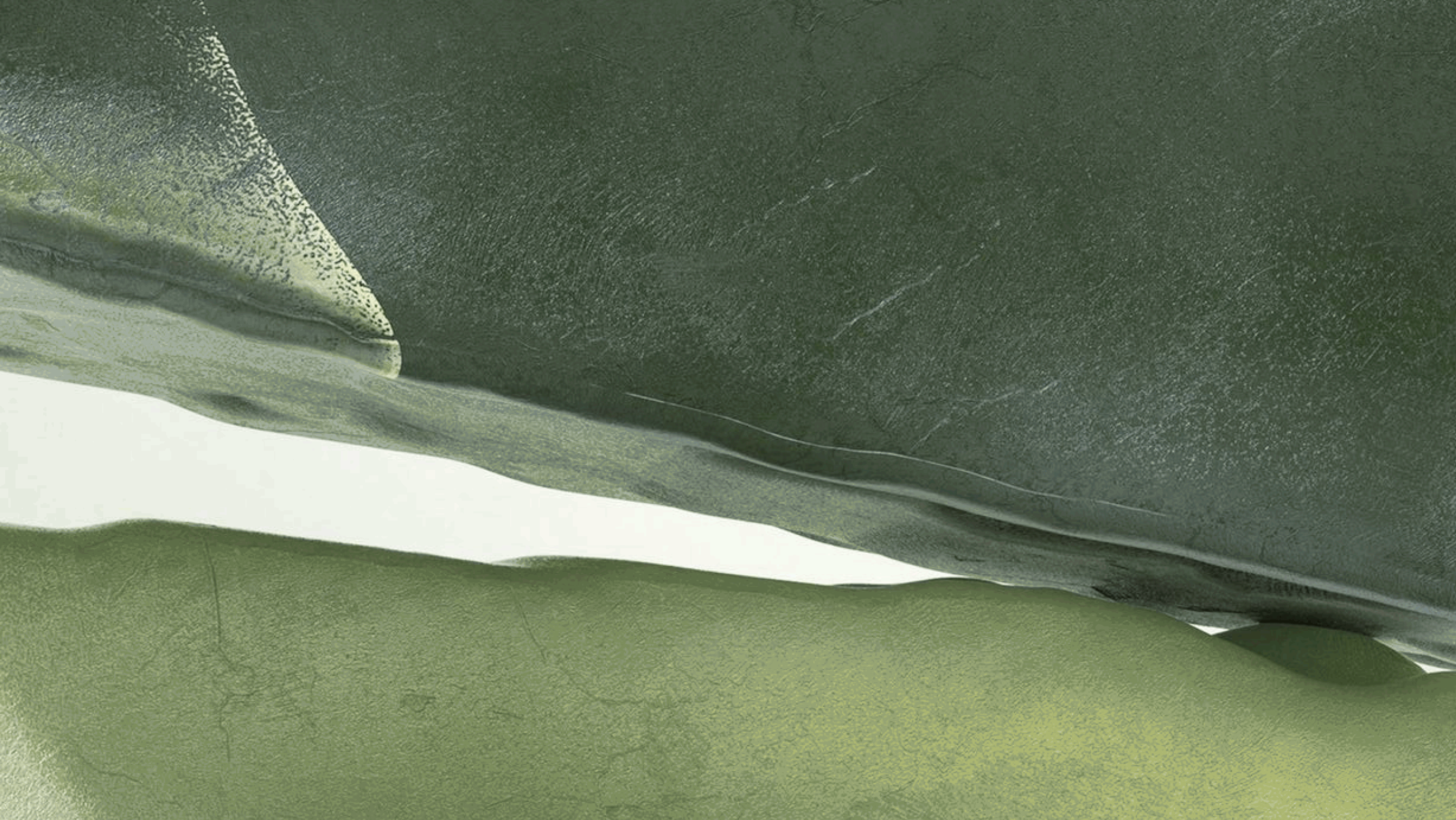 大健康品牌VI视觉设计 产品包装设计 系列产品设计