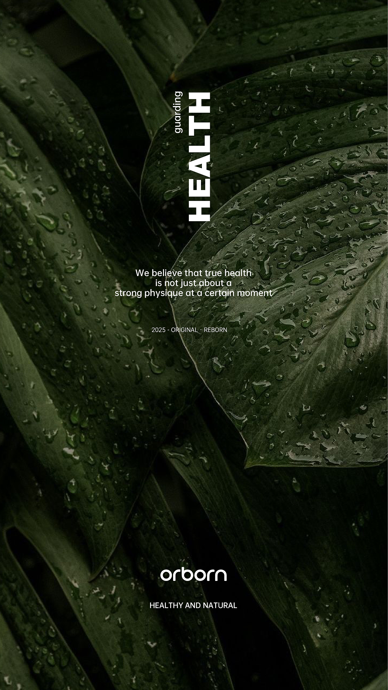 大健康品牌VI视觉设计 产品包装设计 系列产品设计