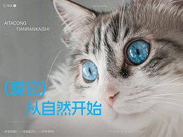 牧寵\寵物品牌全案設(shè)計(jì)