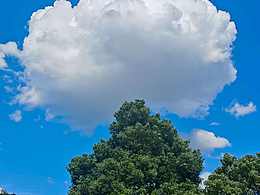 好大一朵棉花糖