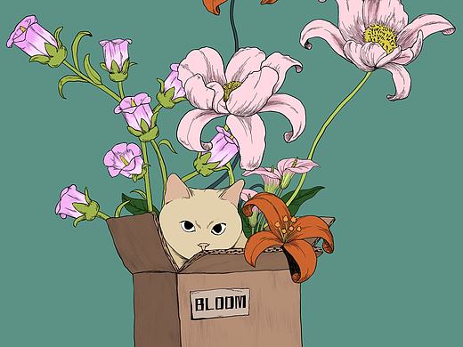 像花一样自由绽放