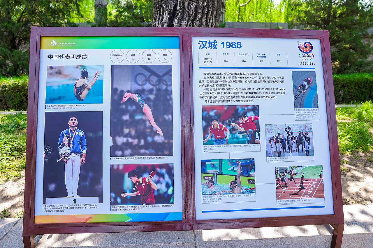 2024年第十五届北京奥运城市体育文化节双奥文化推广（图ZMzk1MjgxODg0） - 文案/策划 - 站酷设计师王昊媛原创素材 - 站酷ZCOOL