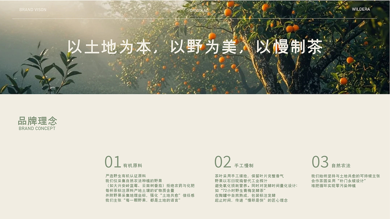 WILDERA野果纪丨水果茶品牌全案