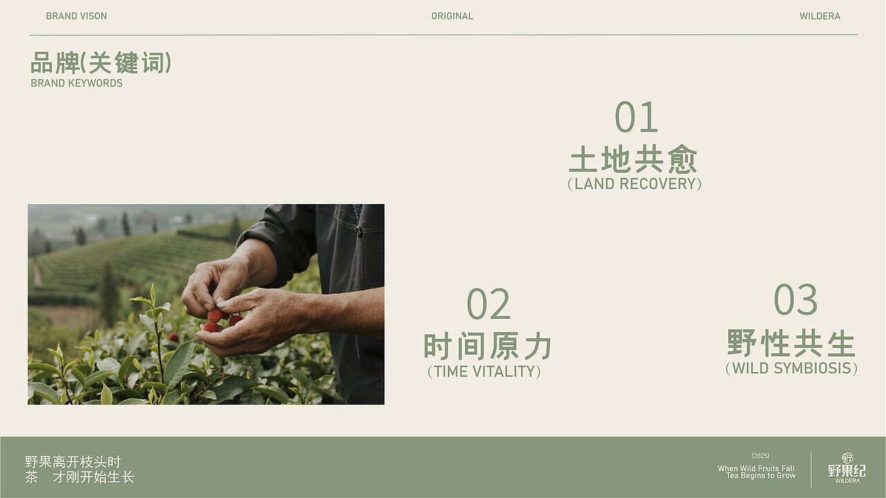 WILDERA野果纪丨水果茶品牌全案