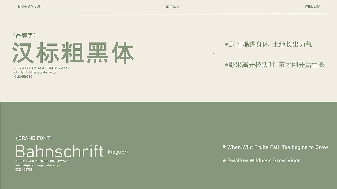 WILDERA野果纪丨水果茶品牌全案