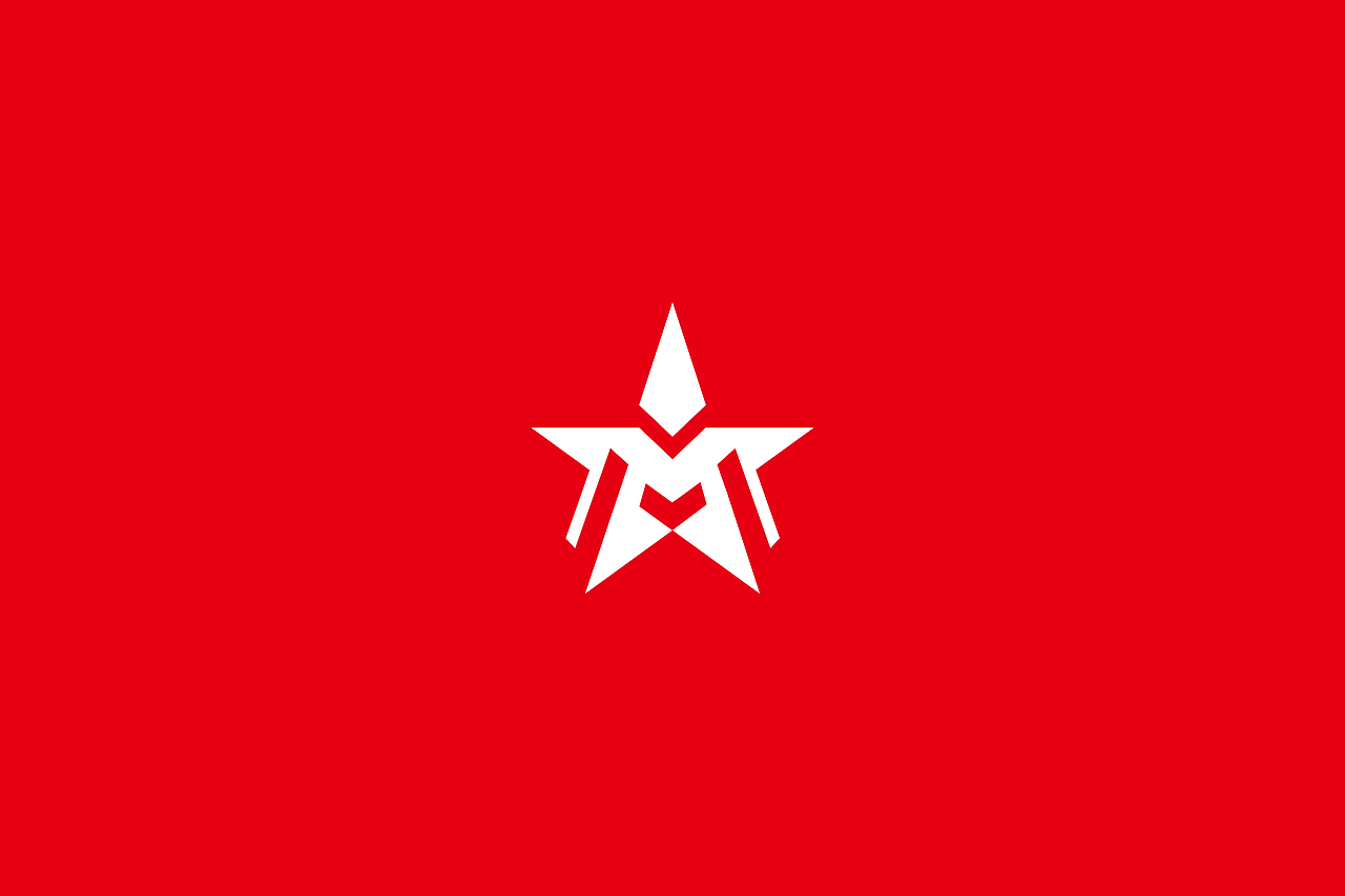 五星荣燿丨体育运动赛事LOGO设计丨品牌标志丨维京设（图ZMzk1Mjk3MzQ4） - 品牌 - 站酷设计师维京设原创素材 - 站酷ZCOOL