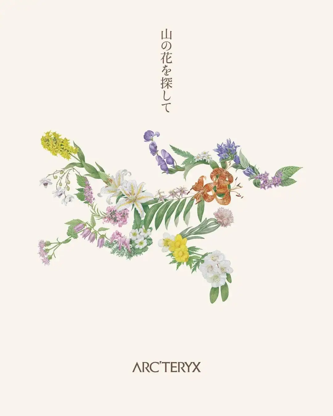 始祖鸟推出“植物鸟”LOGO/《黑神话：钟馗》CG公布/世界遗产巴特罗之家修复完工（图ZMTUxOTUxMzY=） - 资讯 - 站酷设计师站酷资讯原创素材 - 站酷ZCOOL
