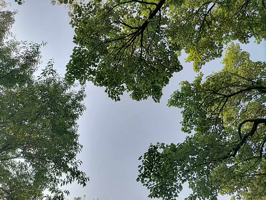 夏天的天空