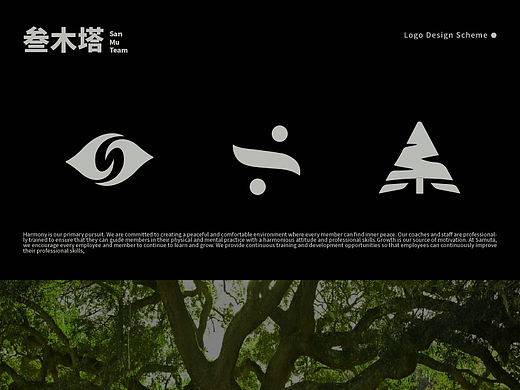 叁木塔丨瑜伽普拉提品牌LOGO标志设计丨维京设