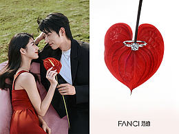 范琦2025部分电商视觉