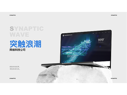 官网页面展示