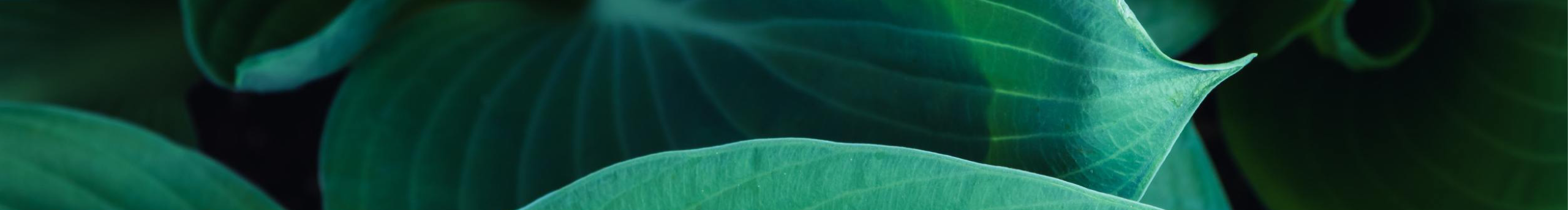 浮生莫若的个人主页（封面预览） - 主页封面设置 - 站酷设计师浮生莫若原创素材 - 站酷ZCOOL