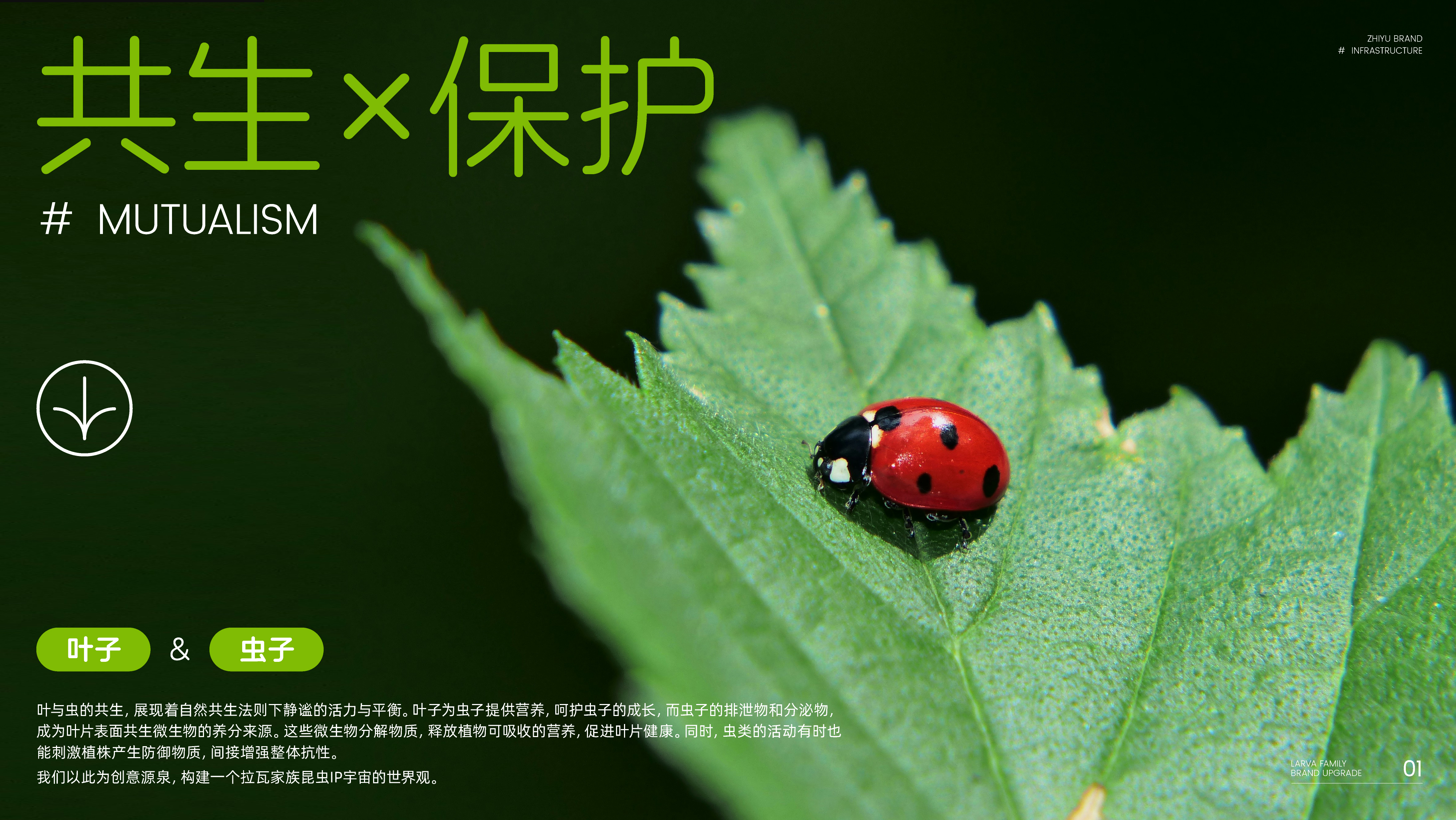 用错"超级符号"简直是品牌的灾难！如何用正确“符号学”理论重塑品牌认知？（图ZMTUxOTcxMjg=） - 观点 - 站酷设计师知鱼品牌_善犀原创素材 - 站酷ZCOOL