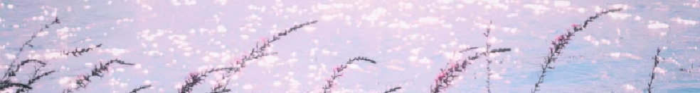 Eemxu的個人主頁（封面預(yù)覽） - 主頁封面設(shè)置 - 站酷設(shè)計師Eemxu原創(chuàng)素材 - 站酷ZCOOL