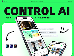 AI项目UXUI
