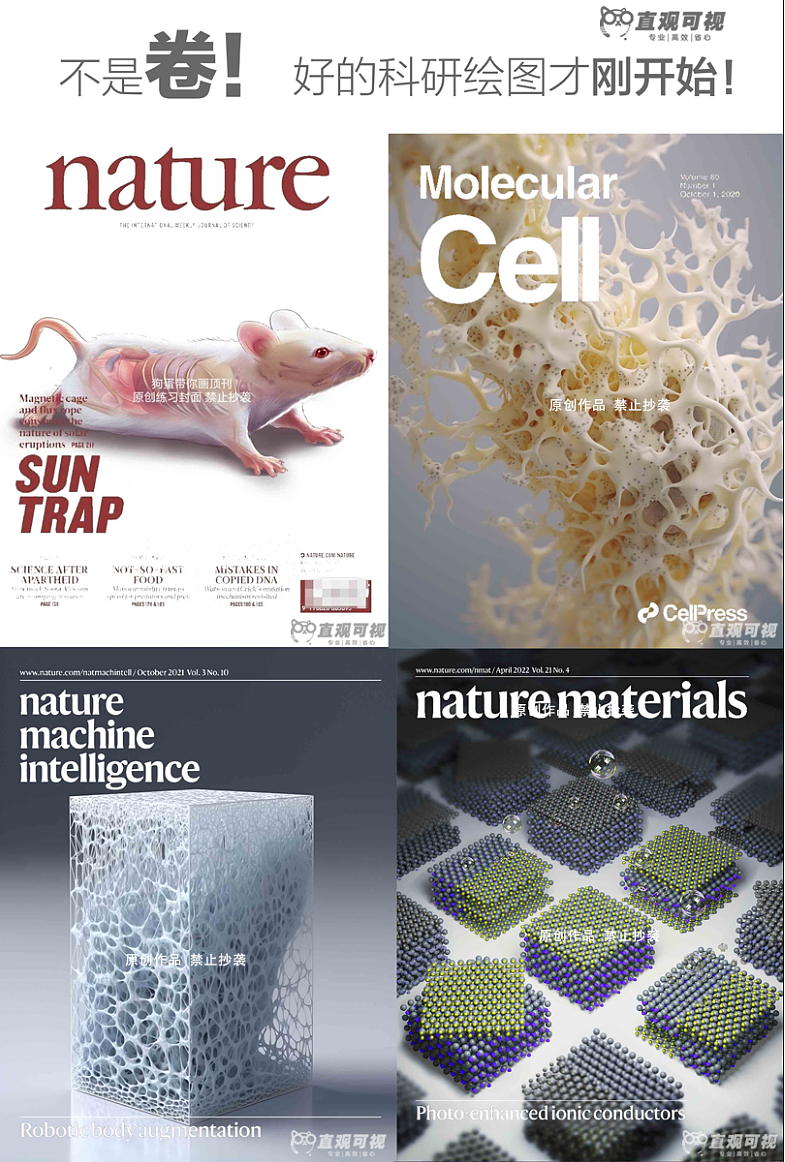 此文章插图由抖音up主：狗蛋带你画顶刊 团队绘制
<br>作者：科研绘图医学插图<br>链接：https://www.zcool.com.cn/work/ZNzA4NjY3MDA=.html<br>来源：站酷<br>著作权归作者所有。商业转载请联系作者获得授权，非商业转载请注明出处。