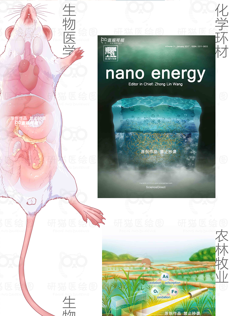 此文章插图由抖音up主:狗蛋带你画顶刊 团队绘制
<br>作者:科研绘图医学插图<br>链接:https://www.zcool.com.cn/work/ZNzA4NjY3MDA=.html<br>来源:站酷<br>著作权归作者所有。商业转载请联系作者获得授权,非商业转载请注明出处。