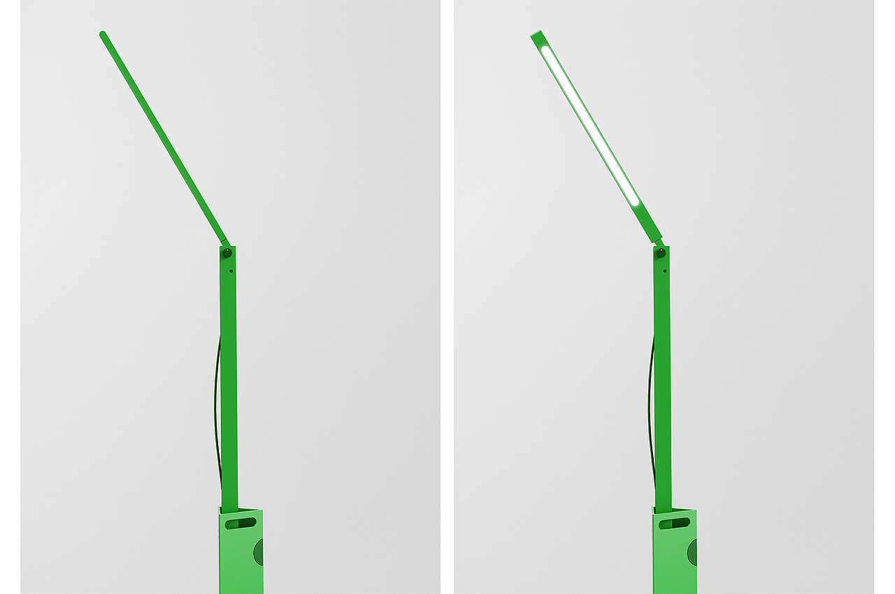 Bougainvillea-光叶子花