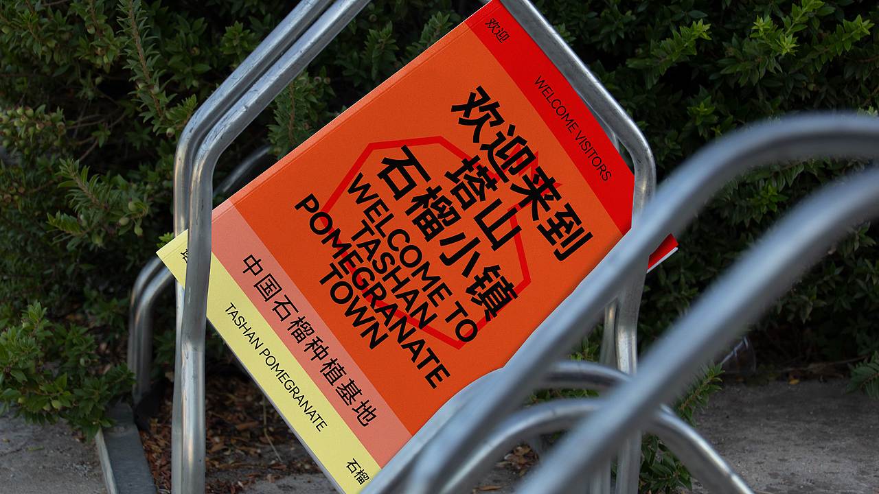 淮北塔山石榴|品牌设计