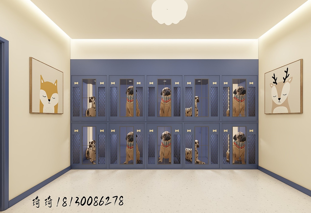 星夜公司 | 林愈宠物医院:为毛孩子打造温馨治愈空间