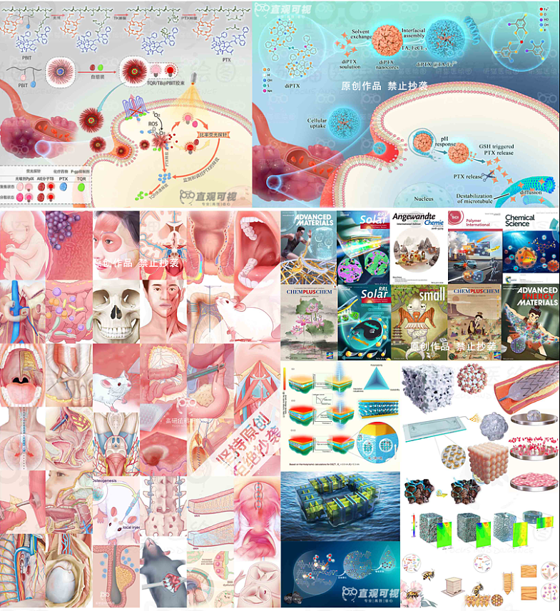 此文章插图由抖音up主:狗蛋带你画顶刊 团队绘制
<br>作者:科研绘图医学插图<br>链接:https://www.zcool.com.cn/work/ZNzA4NjY3MDA=.html<br>来源:站酷<br>著作权归作者所有。商业转载请联系作者获得授权,非商业转载请注明出处。