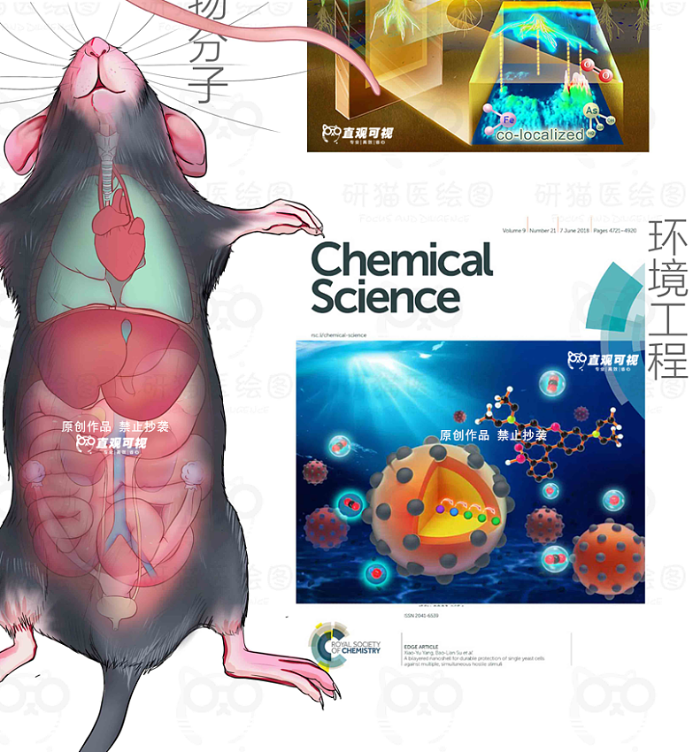 此文章插图由抖音up主:狗蛋带你画顶刊 团队绘制
<br>作者:科研绘图医学插图<br>链接:https://www.zcool.com.cn/work/ZNzA4NjY3MDA=.html<br>来源:站酷<br>著作权归作者所有。商业转载请联系作者获得授权,非商业转载请注明出处。