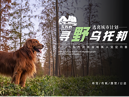 文旅項目這么做，想不火都難～萌寵定向賽