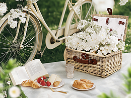 亚马逊︱野餐篮